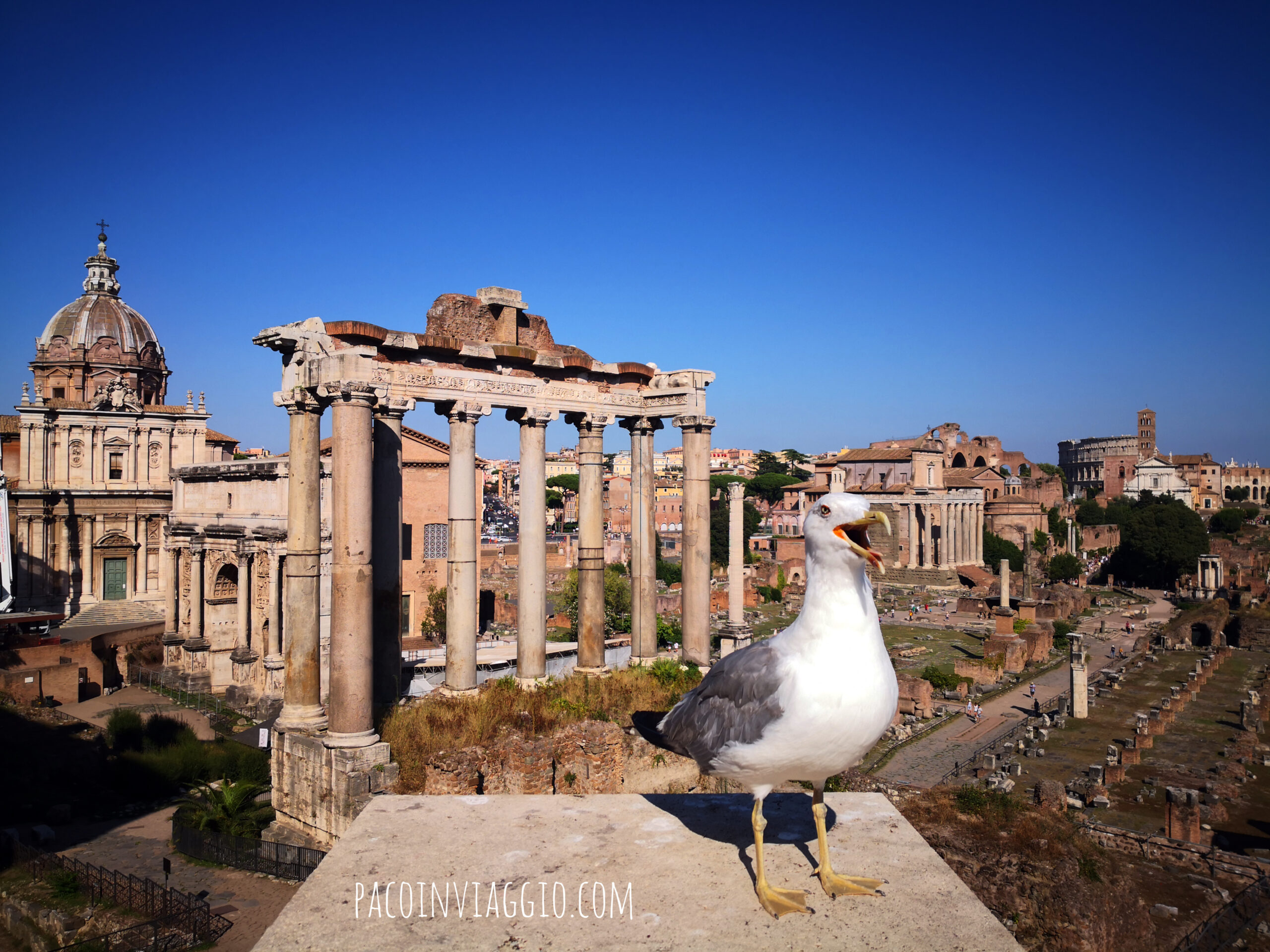 #soloFoto: cose di Roma